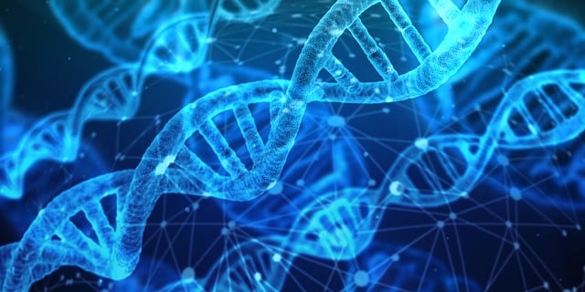 dna strands with a digital overlay