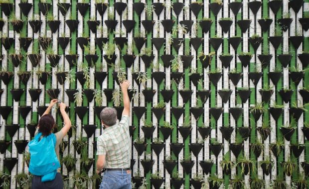two people facing a wall of sustainable gardens