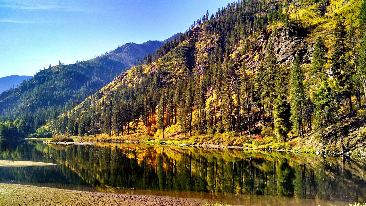 washington state landscape